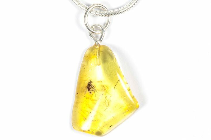 Polished Baltic Amber Pendant (Necklace) - Contains Fly! #357951